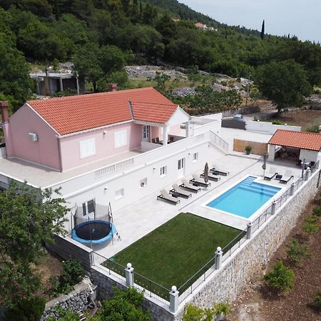 Villa Dragic Pridvorje Bagian luar foto